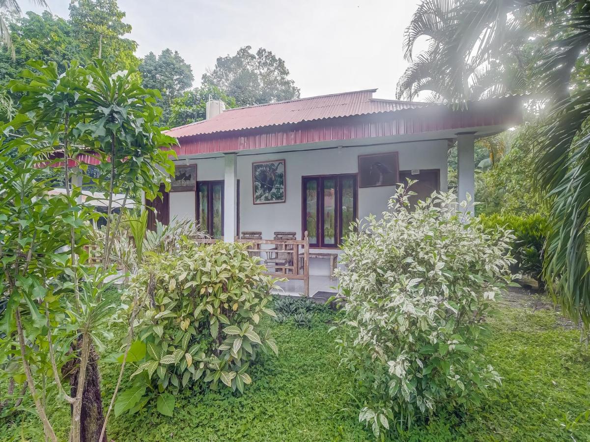 Oyo 90988 Tangkoko Jungle Homestay Rinondoran Exterior foto