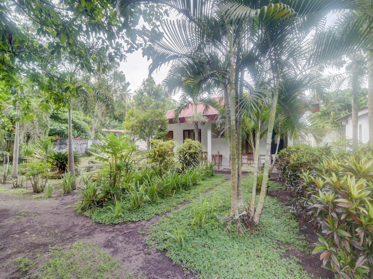 Oyo 90988 Tangkoko Jungle Homestay Rinondoran Exterior foto